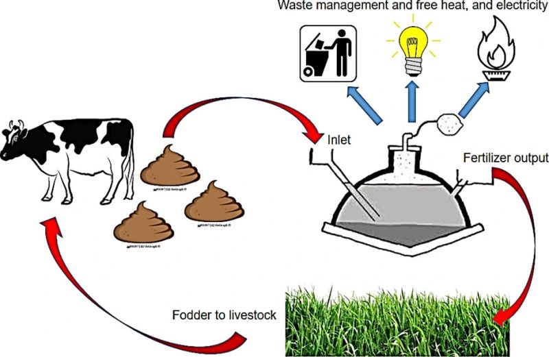Biogas Harnessing